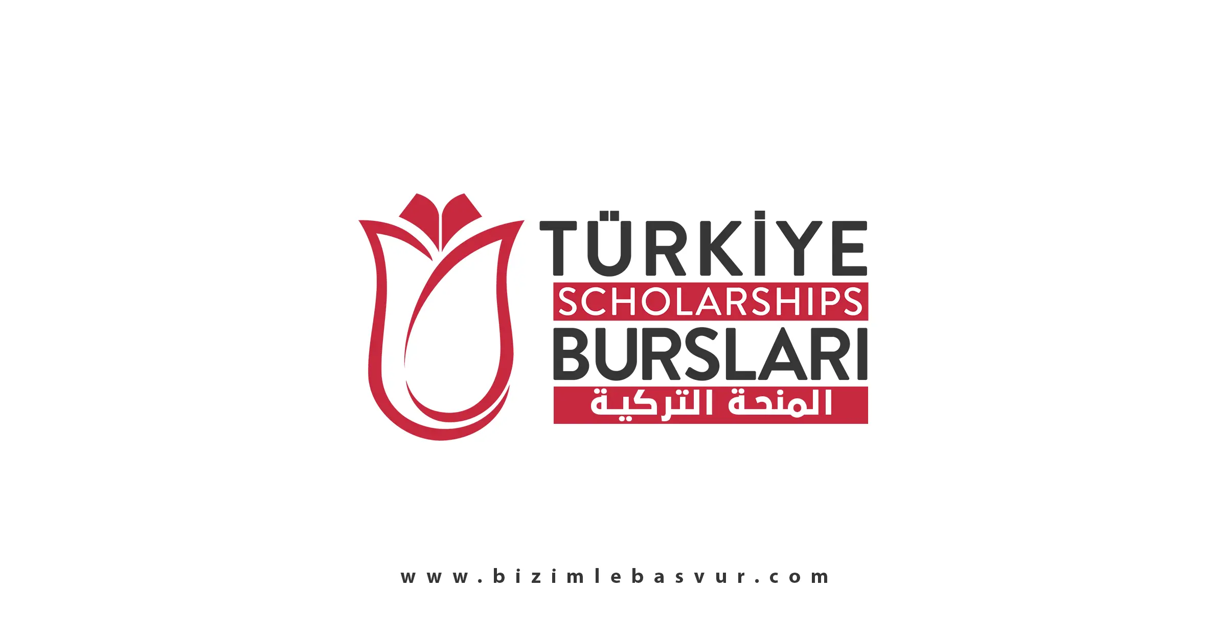 الدليل الشامل للتقديم على منحة الحكومة التركية (Türkiye Bursları) لعام 2026